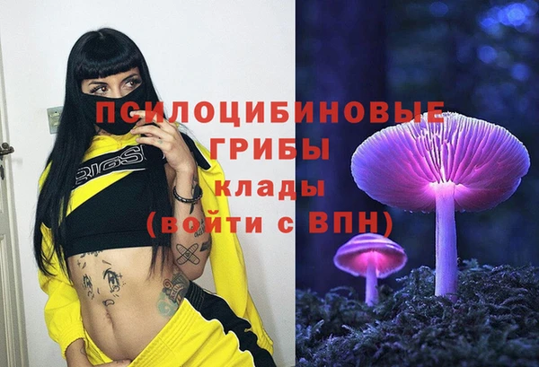 прущие грибы Михайлов