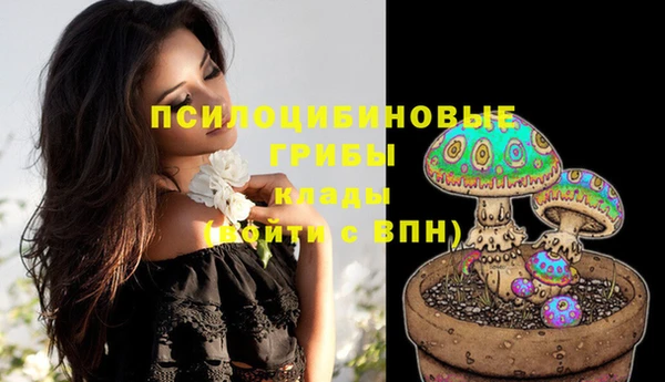 ГАЛЛЮЦИНОГЕННЫЕ ГРИБЫ Медногорск