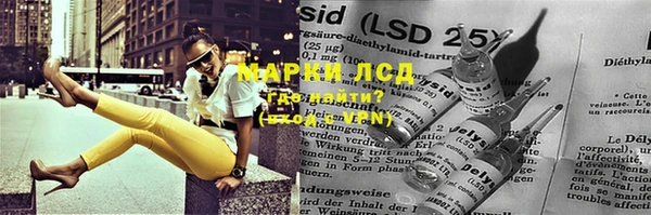 прущие грибы Михайлов