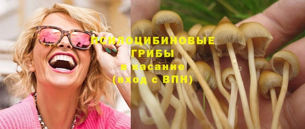 ГАЛЛЮЦИНОГЕННЫЕ ГРИБЫ Медногорск