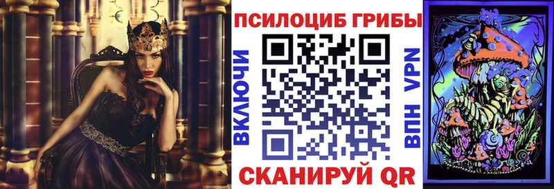 Псилоцибиновые грибы GOLDEN TEACHER  Усмань 